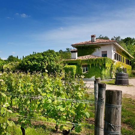 Buttrio Agriturismo Tra Le Vigne מראה חיצוני תמונה