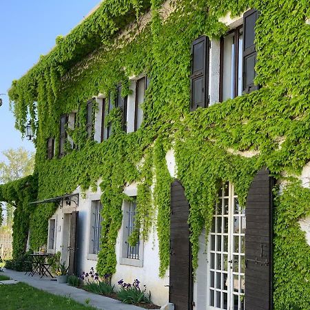 Buttrio Agriturismo Tra Le Vigne מראה חיצוני תמונה