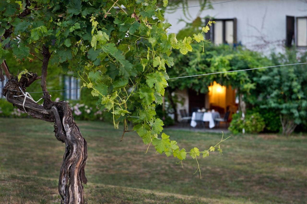 Buttrio Agriturismo Tra Le Vigne מראה חיצוני תמונה