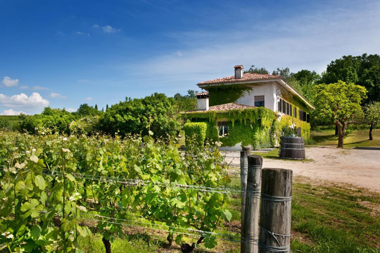 Buttrio Agriturismo Tra Le Vigne מראה חיצוני תמונה