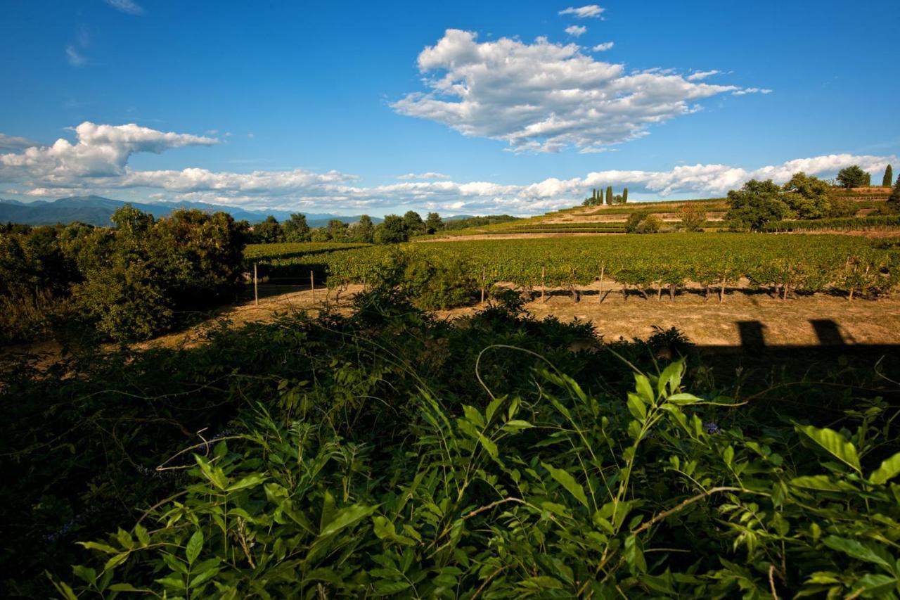 Buttrio Agriturismo Tra Le Vigne מראה חיצוני תמונה