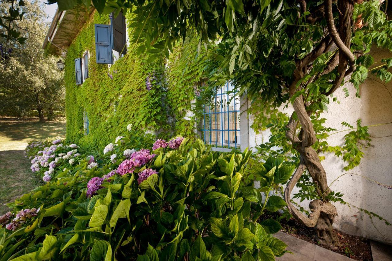 Buttrio Agriturismo Tra Le Vigne מראה חיצוני תמונה